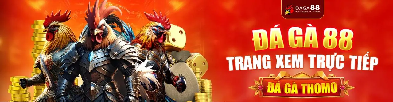 Đấu trường đá gà trực tuyến ee88 với khán đài sôi động và màn hình cá cược